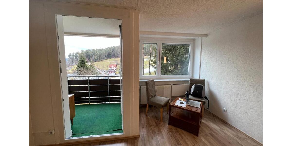 Etagenwohnung Baiersbronn - 1 Zimmer, 30 m&sup2;, 340&euro; | Angebot:26578966