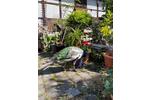 Etagenwohnung Ellrich - 2 Zimmer, 80 m&sup2;, 480&euro; | Angebot:26380522