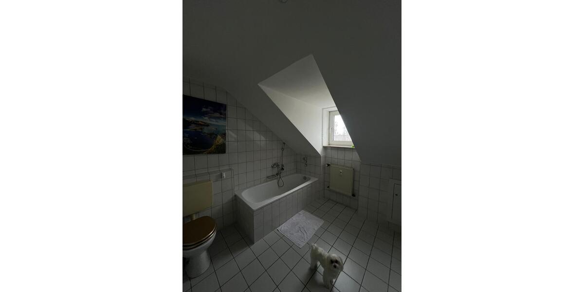 Dachgeschoßwohnung Fulda Fulda-Galerie - 3 Zimmer, 66 m&sup2;, 700&euro; | Angebot:26640392