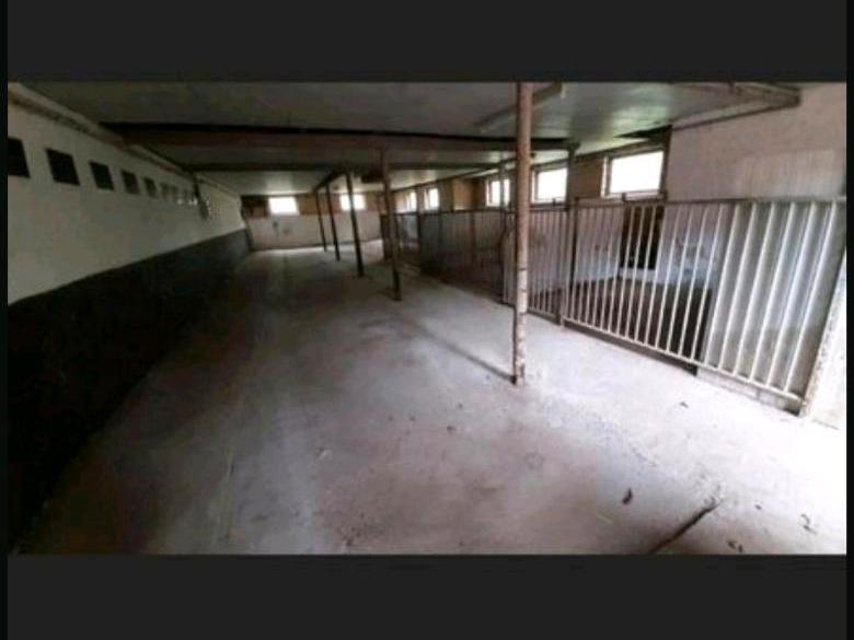 Halle Lager Scheune Unterstand Garage Unterstellmöglichleit