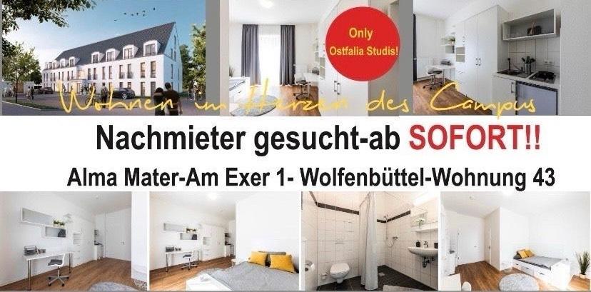 Stundetenwohnung Neubau am exer 43 Wolfenbüttel ab sofort!! 1 zimmer