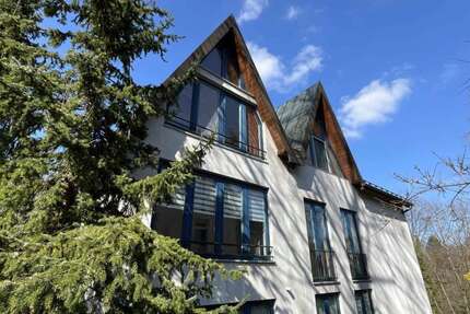 Wohnung Dresden Loschwitz - 2 Zimmer, 75 m&sup2;, 713&euro; | Angebot:26195243