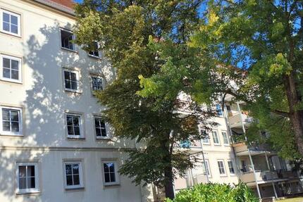 Zentrumsnah - 2-Raum-Wohnung mit offener Wohnküche zimmer
