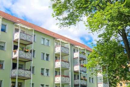 Wohnung Zwickau Marienthal - 2 Zimmer, 49 m&sup2;, 319&euro; | Angebot:27286150
