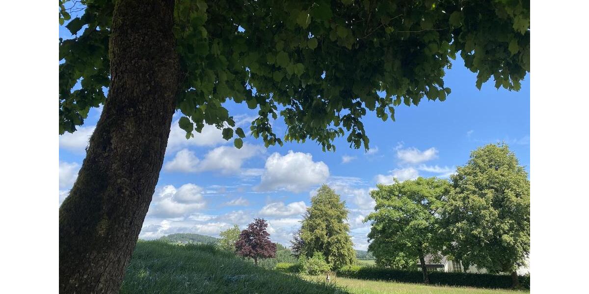 Etagenwohnung Winterberg - 2 Zimmer, 57 m&sup2;, 760&euro; | Angebot:25648669