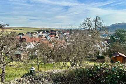 Wohnung Aichtal - 3.5 Zimmer, 150 m&sup2;, 2.500&euro; | Angebot:24821668