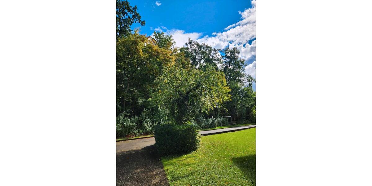 Etagenwohnung Treuchtlingen - 2 Zimmer, 55 m&sup2;, 630&euro; | Angebot:25759644