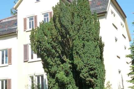 Wohnung zum Mieten in Reutlingen 290 € 23 m² 1 zimmer