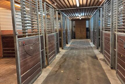 Gewerbeobjekt Grünwald - 3.000&euro; | Angebot:26408440