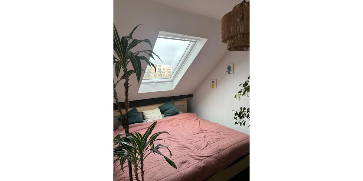 Dachgeschoßwohnung Trier - 2.5 Zimmer, 60 m&sup2;, 1.200&euro; | Angebot:24921324