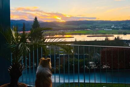 Wohnen auf Zeit Küssaberg - 1 Zimmer, 20 m&sup2;, 600&euro; | Angebot:25261248