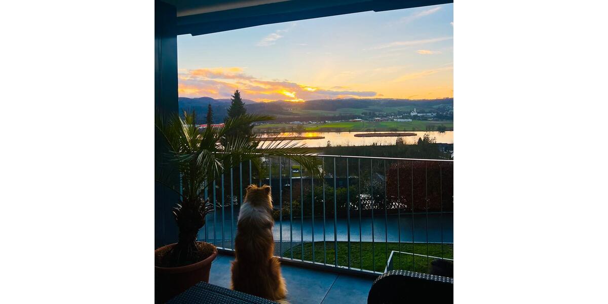 Wohnen auf Zeit Küssaberg - 1 Zimmer, 20 m&sup2;, 600&euro; | Angebot:25261248