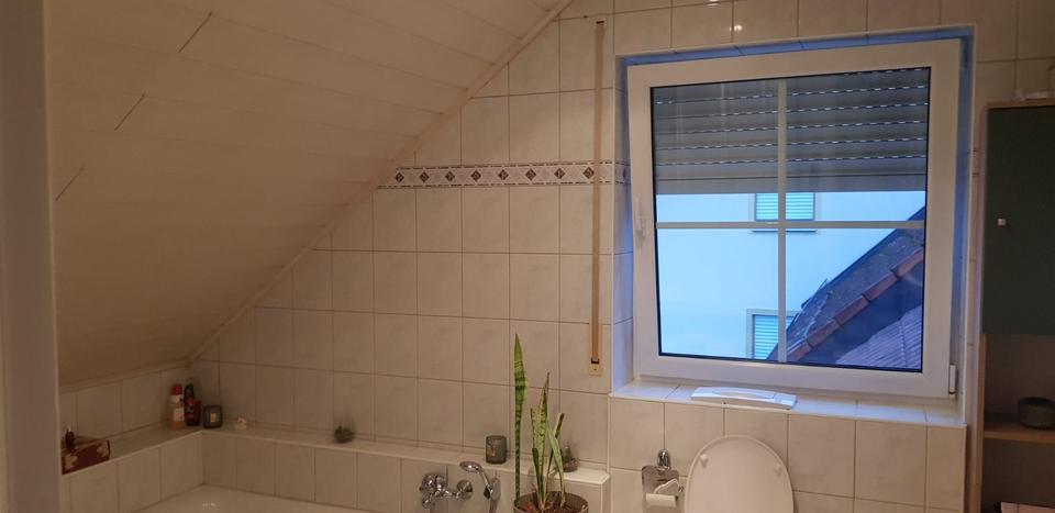 Wohnung zu vermieten 3.5 zimmer