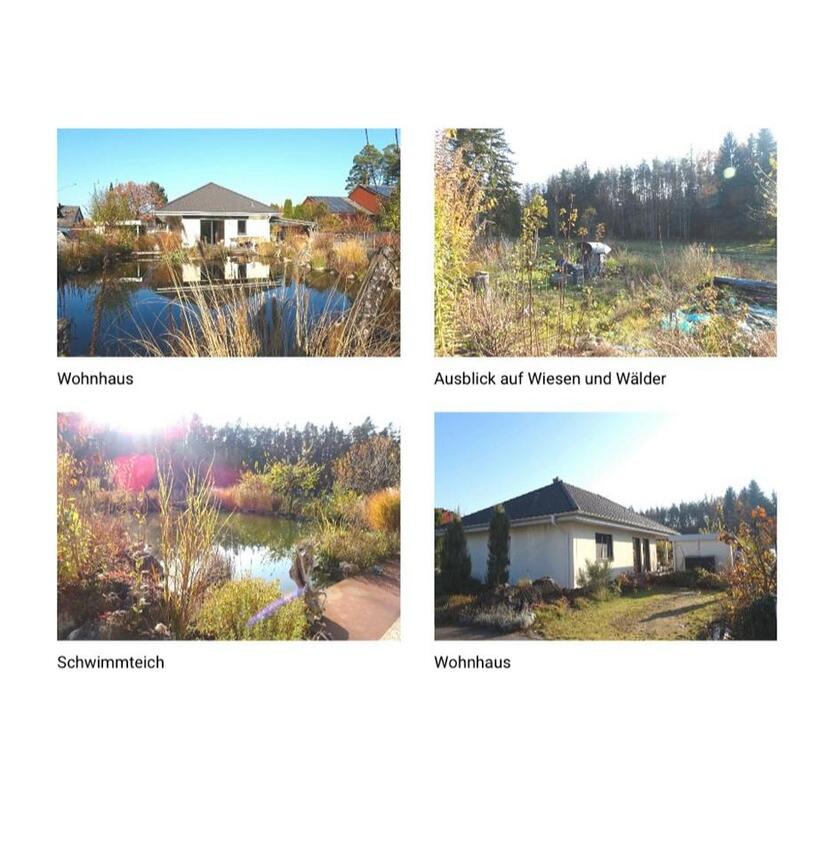 Zu Vermieten ab 032026: Top gepflegter Bungalow in Roth-Bernlohe