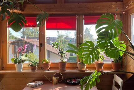 Wohnen auf Zeit Schwifting - 2 Zimmer, 60 m&sup2;, 800&euro; | Angebot:24853158