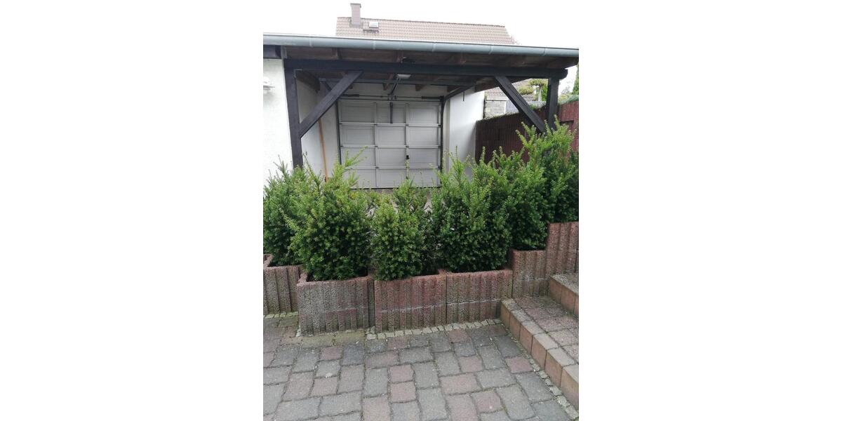 Erdgeschoßwohnung Bernburg (Saale) - 2 Zimmer, 50 m&sup2;, 455&euro; | Angebot:26480709
