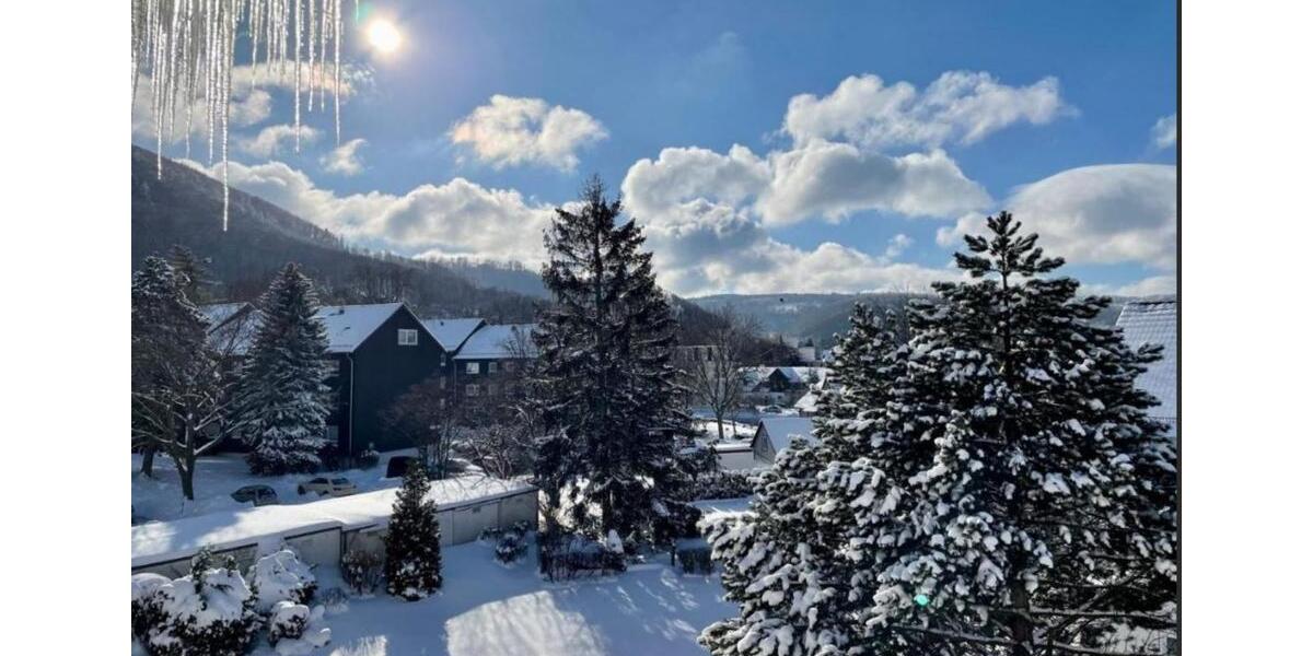 Wohnen auf Zeit Bad Harzburg - 2 Zimmer, 62 m&sup2;, 650&euro; | Angebot:23721368