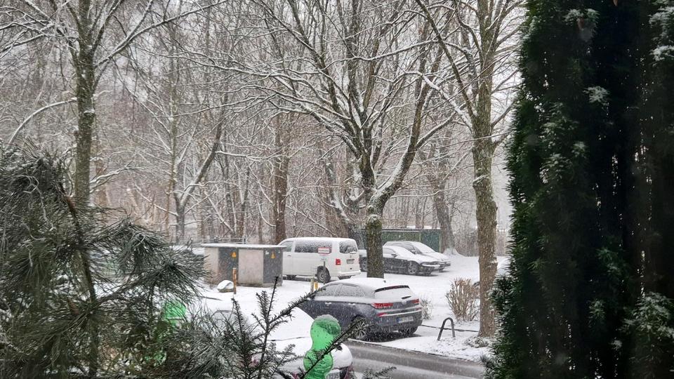 Erdgeschoßwohnung Hamburg Wandsbek - 1 Zimmer, 22 m&sup2;, 500&euro; | Angebot:26051202