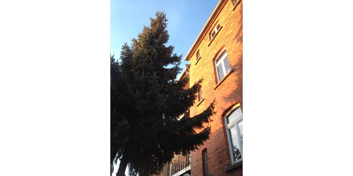 Dachgeschoßwohnung Schkeuditz - 3 Zimmer, 67 m&sup2;, 630&euro; | Angebot:26610629