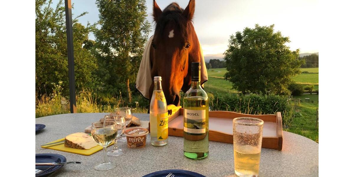 Dachgeschoßwohnung Durach - 1 Zimmer, 113 m&sup2;, 1.400&euro; | Angebot:24673278