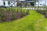 Etagenwohnung Duisburg Hamborn - 2 Zimmer, 68 m&sup2;, 990&euro; | Angebot:26295370