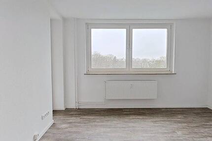 Wohnung Rendsburg - 2 Zimmer, 46 m&sup2;, 479&euro; | Angebot:26299090