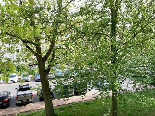 Etagenwohnung Hermsdorf - 3 Zimmer, 60 m&sup2;, 350&euro; | Angebot:26636650