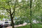 Etagenwohnung Hermsdorf - 3 Zimmer, 60 m&sup2;, 350&euro; | Angebot:26636650