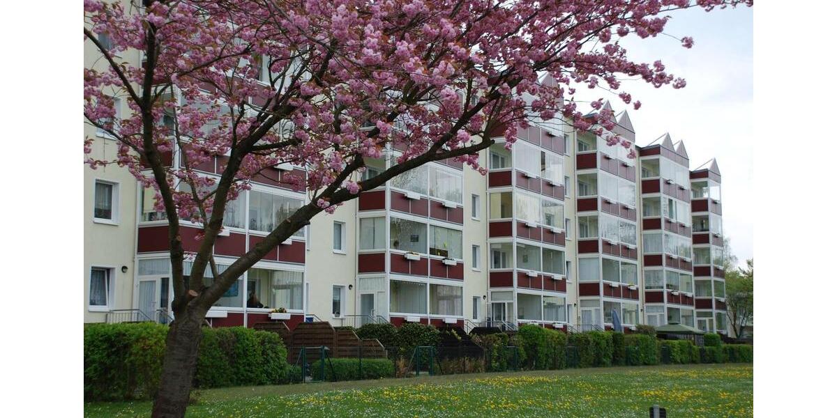 Etagenwohnung Grimmen - 2.5 Zimmer, 61 m&sup2;, 449&euro; | Angebot:23870359