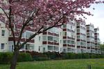 Etagenwohnung Grimmen - 2.5 Zimmer, 63 m&sup2;, 459&euro; | Angebot:23870359