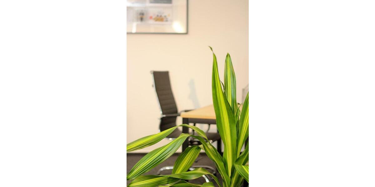 Gewerbeobjekt Bad Kreuznach Bad Münster am Stein-Ebernburg - 159&euro; | Angebot:9496577