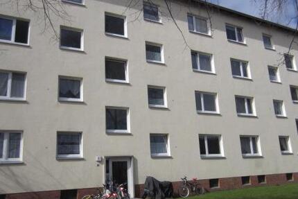 Schöne Wohnung: individuelle 3-Zimmer-Wohnung zimmer