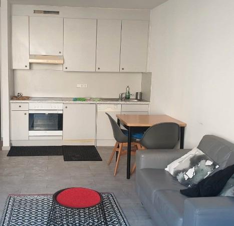 STUDIO APARTMENT SUBLET 1.11-15.12 2025 zimmer
