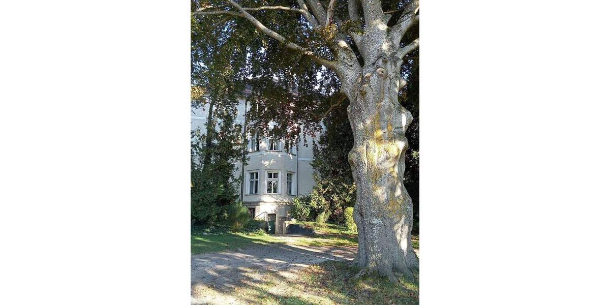 Gewerbeobjekt Ranzin Ranzin - 3 Zimmer, 2.000&euro; | Angebot:24453015