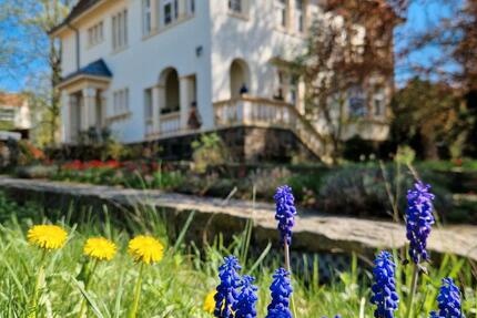 Praxis- oder Büroräume zu vermieten, zentrumsnah zimmer