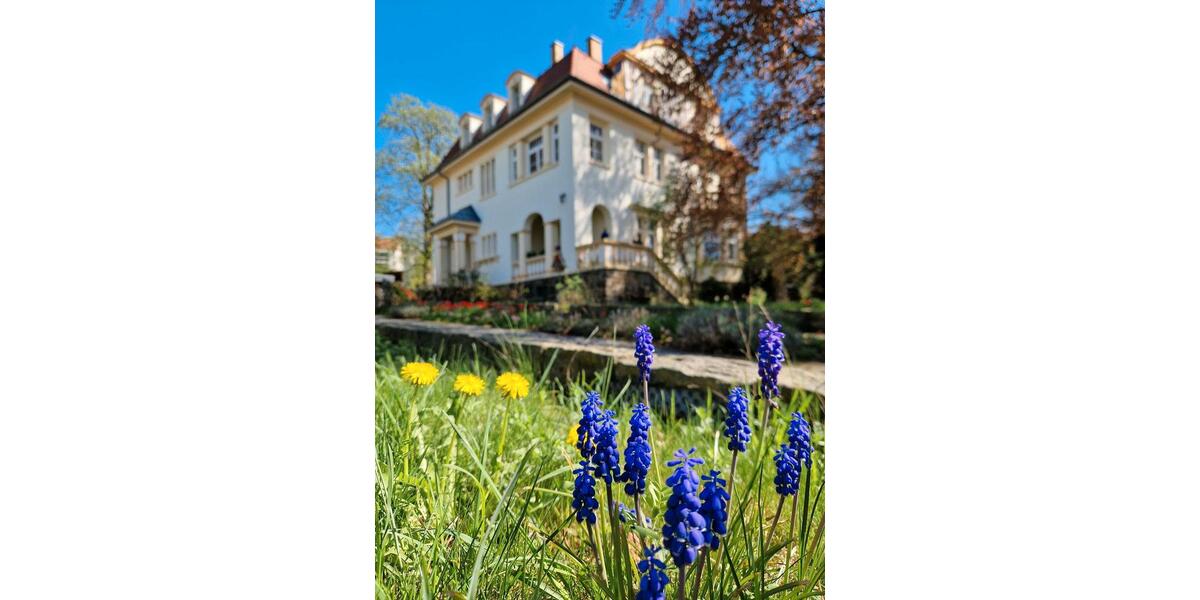 Praxis- oder Büroräume zu vermieten, zentrumsnah zimmer