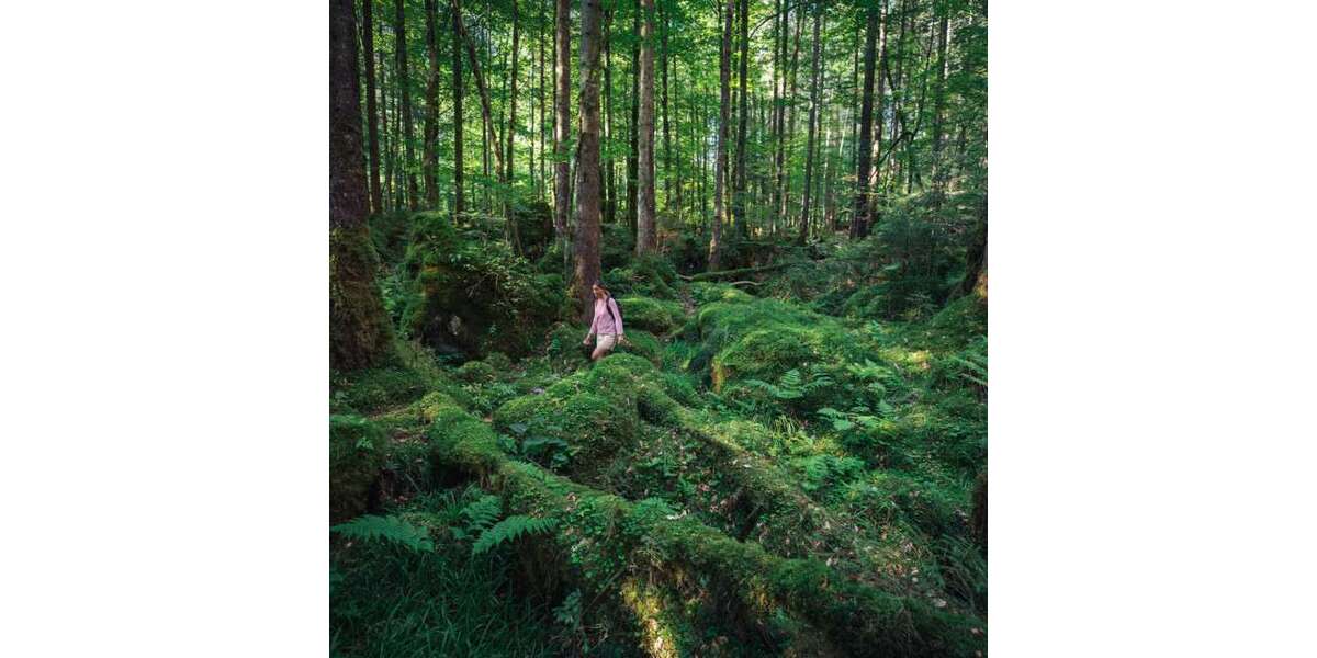 Einfamilienhaus Stadtbergen - 6 Zimmer, 295 m&sup2;, 3.600&euro; | Angebot:25258958