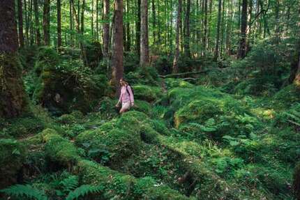 Haus Stadtbergen - 6 Zimmer, 295 m&sup2;, 3.600&euro; | Angebot:25258958