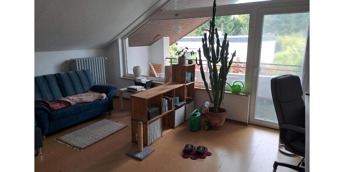 Wohnen auf Zeit Solms - 1 Zimmer, 20 m&sup2;, 490&euro; | Angebot:25627983