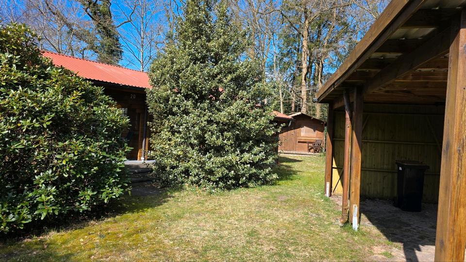 Etagenwohnung Wingst - 2 Zimmer, 40 m&sup2;, 600&euro; | Angebot:26035988