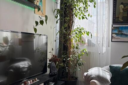 Wohnen auf Zeit Nürnberg Gleißhammer - 2 Zimmer, 55 m&sup2;, 900&euro; | Angebot:26367928