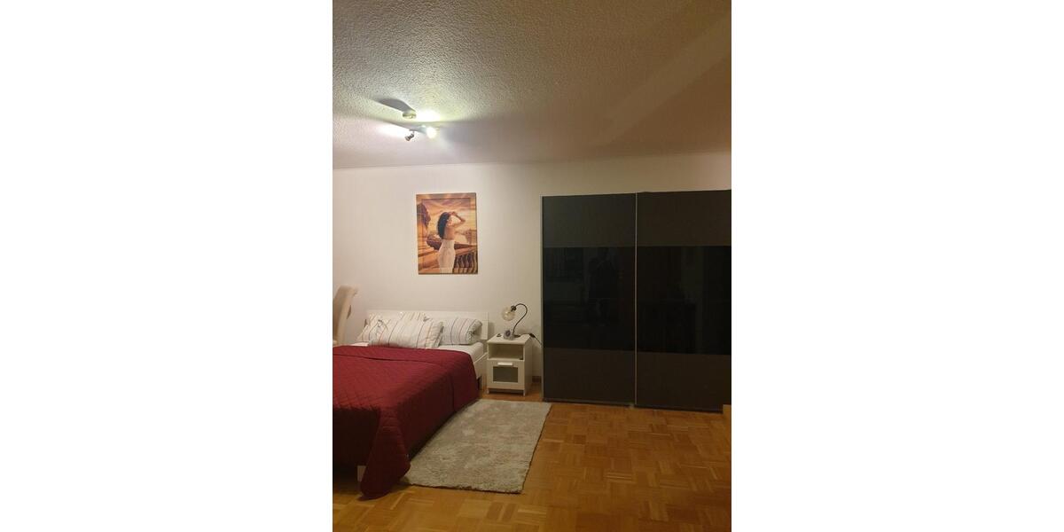 Etagenwohnung St. Blasien - 1 Zimmer, 45 m&sup2;, 600&euro; | Angebot:24711354