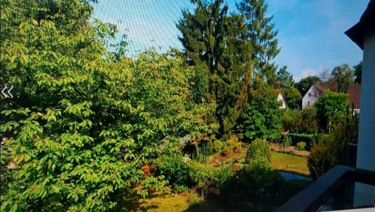 WG 1 WG Zimmer frei (2 Zimmer reserviert) 1 zimmer