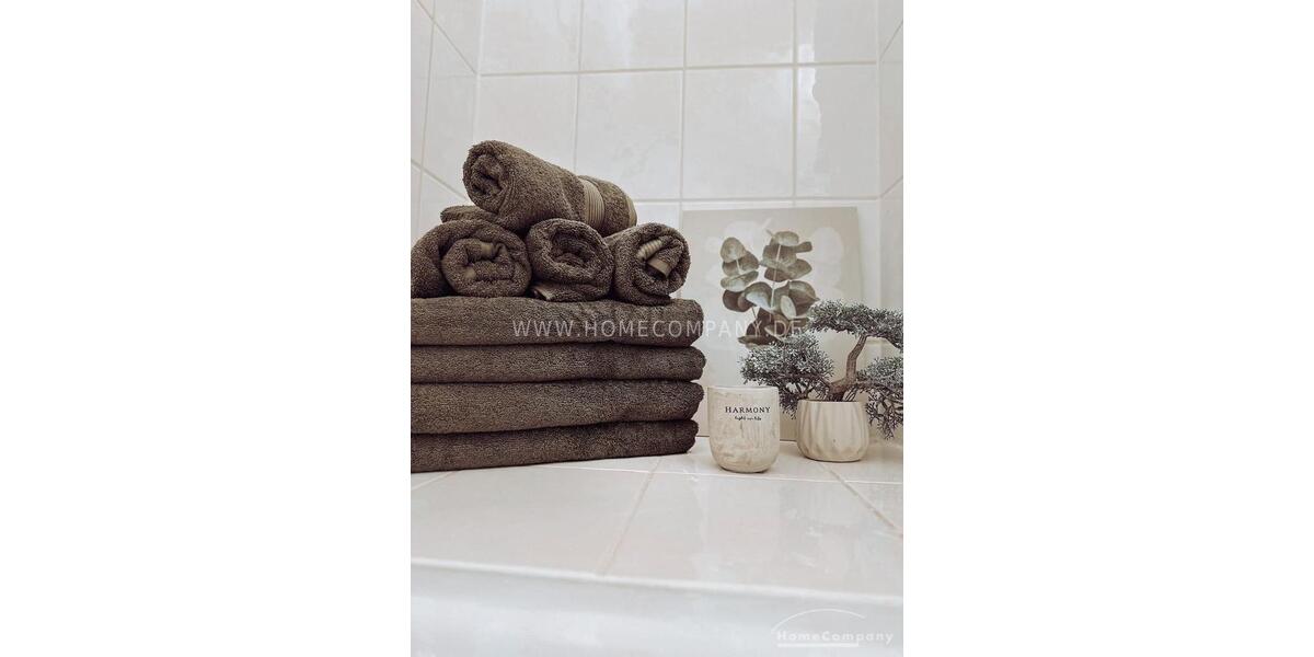 Wohnen auf Zeit Pirna - 3 Zimmer, 65 m&sup2;, 1.400&euro; | Angebot:23182504