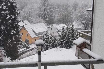 Wohnung Baiersbronn - 1 Zimmer, 39 m&sup2;, 420&euro; | Angebot:24378651