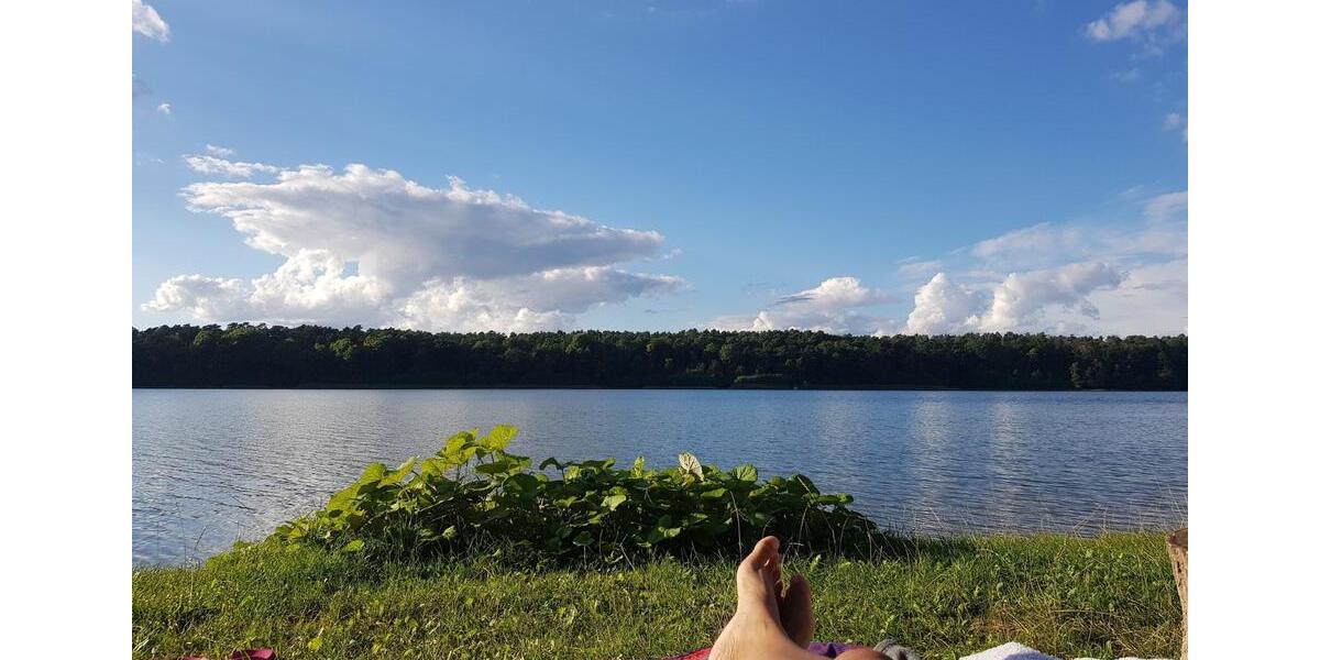 Wunderschöne 5 Zimmerwohnung in Strausberg Altstadt zu vermieten 5 zimmer