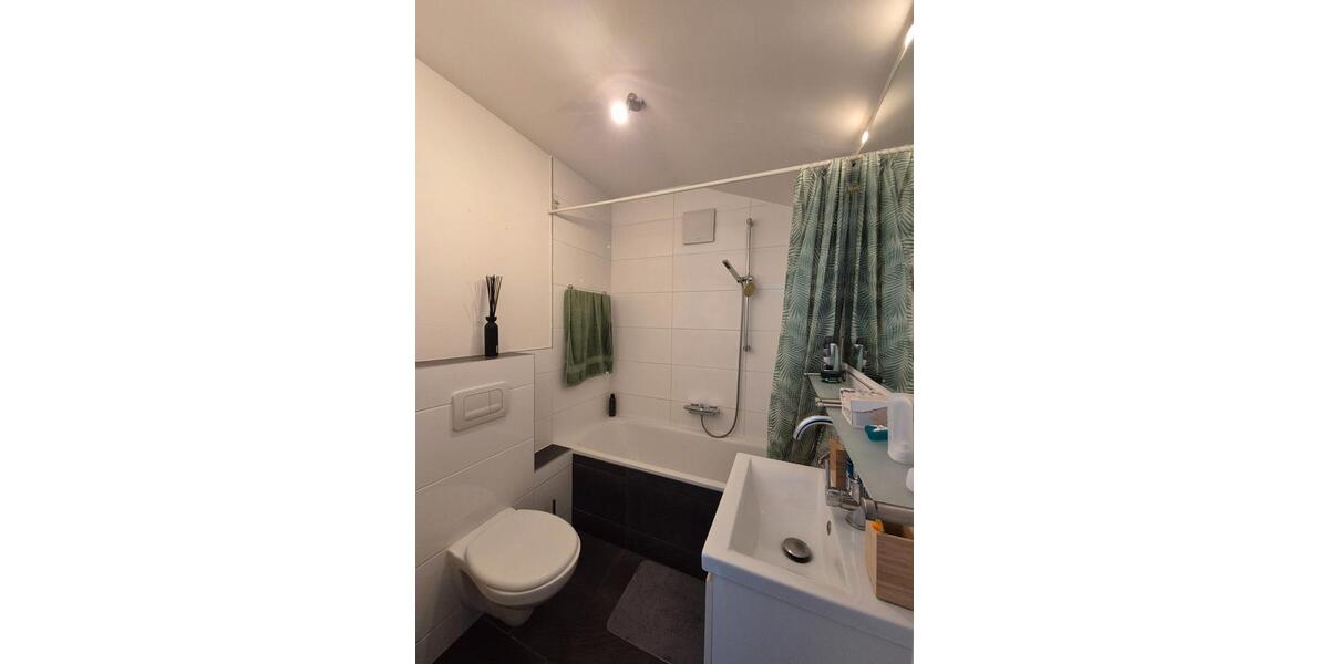 Dachgeschoßwohnung Wiesbaden Biebrich - 2 Zimmer, 60 m&sup2;, 850&euro; | Angebot:25971717