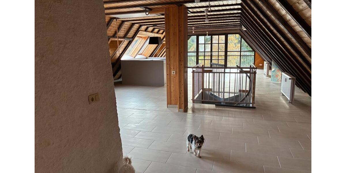 Dachgeschoßwohnung Berschweiler bei Baumholder - 1 Zimmer, 120 m&sup2;, 1.200&euro; | Angebot:24753409