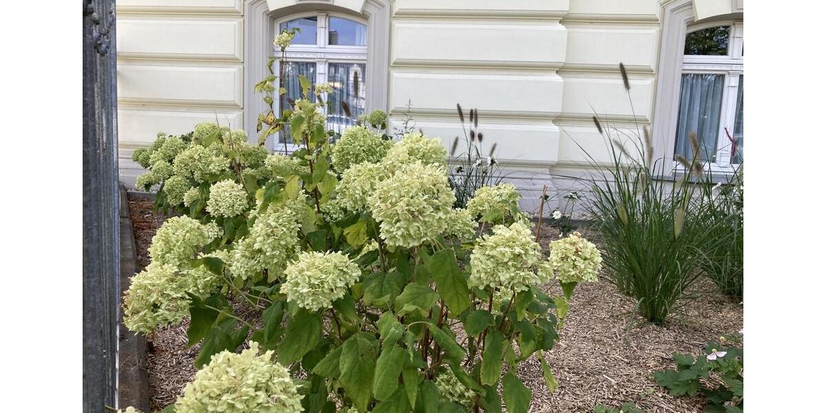 Erdgeschoßwohnung Görlitz - 2 Zimmer, 52 m&sup2;, 495&euro; | Angebot:25713815