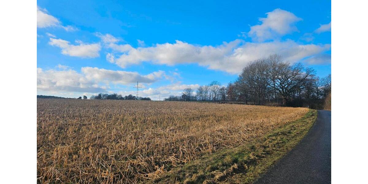 Erdgeschoßwohnung Frankenberg (Eder) - 3 Zimmer, 77 m&sup2;, 725&euro; | Angebot:24774670